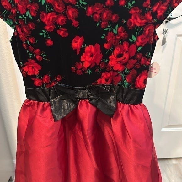 TCP GIRLS CHRISTMAS DRESS SZ 12 HOLIDAY CHURCH PARTY - Picture 3 of 7